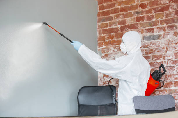 Best Mold-Related Health Consultation  in Stratford, NJ